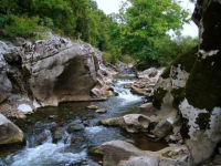 Bulgaria's Ministry of Environment announced five new protected areas