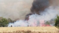 Fire raging near the military training ground in Kazanluk (video)