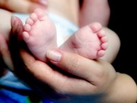 Bulgarian authorities investigate a case of babies switched at birth in a metropolitan hospital