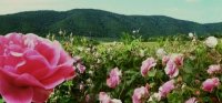 снимка 6 Долината на Тунджа: романтична и благодатна