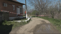 A pack of dogs killed a woman in the town of Dolna Oryahovitsa (update)