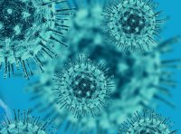 Coronavirus in Bulgaria: 133 new cases