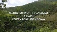 снимка 1 Животописни бележки за един Костурски войвода