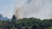 Fire burning in "Tulbeto" park in Kazanlak