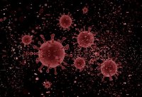 Coronavirus in Bulgaria: 304 new cases