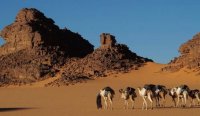 снимка 12 Сахара - живият музей в пясъците