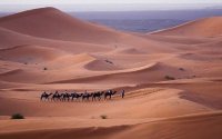 снимка 7 Сахара - живият музей в пясъците
