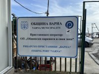 снимка 6 Проект „Екожурналистически разследвания: Черно море и Дунав в светлината на прожекторите“: Първо обучение за разследващи български и румънски журналисти с фокус екологичните проблеми на Черно море