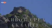 снимка 2 Живот сред скалите