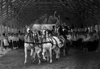 снимка 8 Унгарска рапсодия