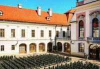 снимка 17 Виенска елегантност