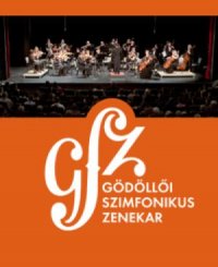 снимка 27 Виенска елегантност