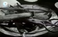 снимка 30 Хаджи Ахил