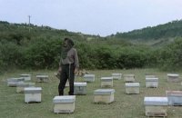 снимка 2 Пчеларят