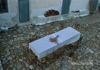 снимка 22 Пчеларят