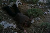 снимка 16 Пчеларят