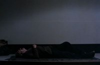 снимка 18 Пчеларят