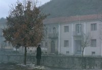 снимка 19 Пчеларят