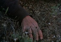 снимка 23 Пчеларят