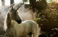 снимка 27 Приключенията на Мерлин