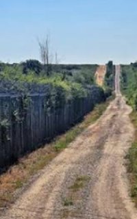 снимка 2 Нито крачка назад