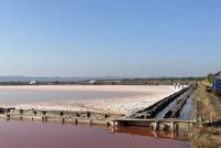 снимка 3 Солени хора