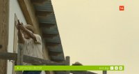 снимка 5 На живот и смърт