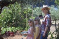 снимка 41 Преди полунощ