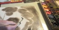 снимка 12 Живот в цветове