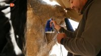снимка 5 Графити от Златния век