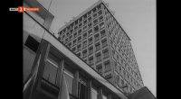 снимка 82 Гласът на Петела