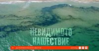 снимка 30 Невидимото нашествие
