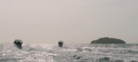 снимка 28 Звукът на свободата