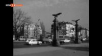 снимка 85 Гласът на Петела