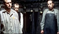 снимка 14 Сивата зона