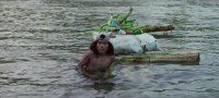 снимка 34 Звукът на свободата
