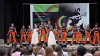 снимка 16 Българските евъргрийни