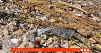 снимка 27 Невидимото нашествие