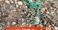снимка 24 Невидимото нашествие