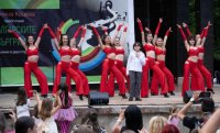 снимка 27 Българските евъргрийни