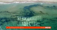 снимка 19 Невидимото нашествие