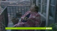 снимка 15 Племенникът